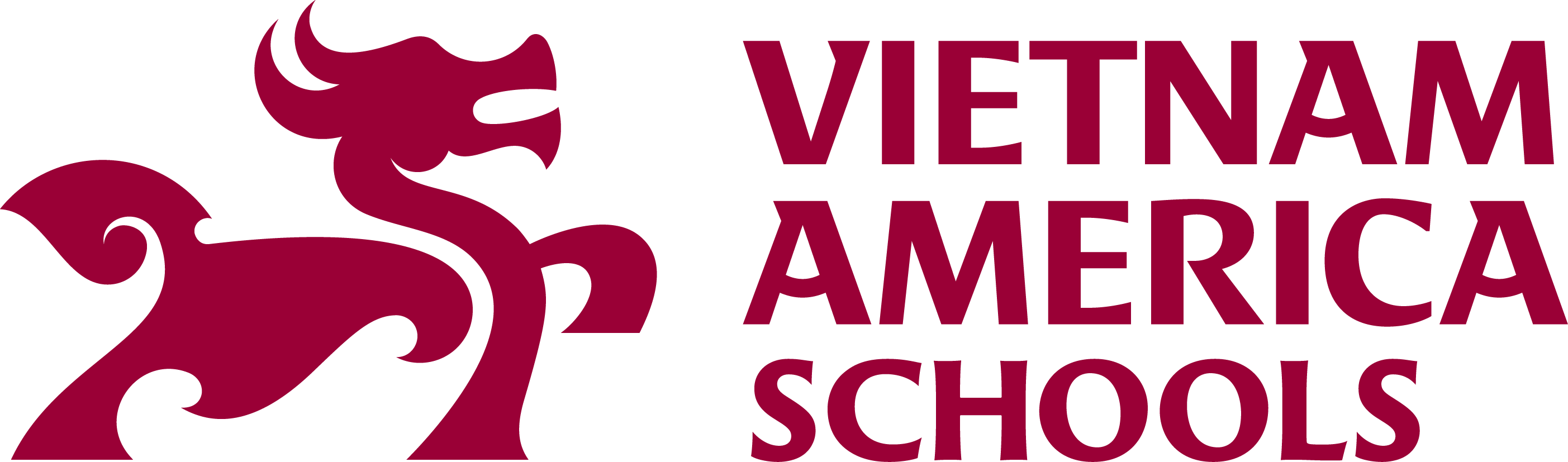 Vietnam America Schools